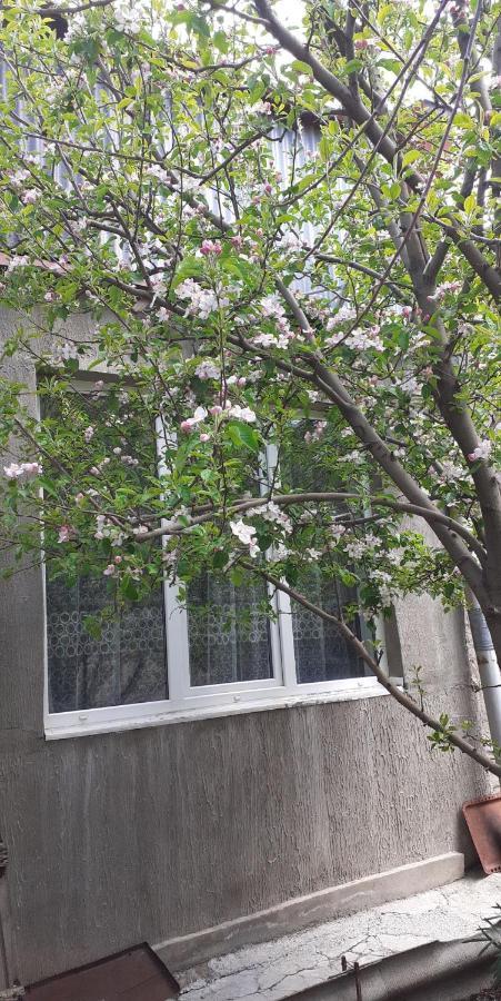 Guest House Otilia Гюмри Екстериор снимка